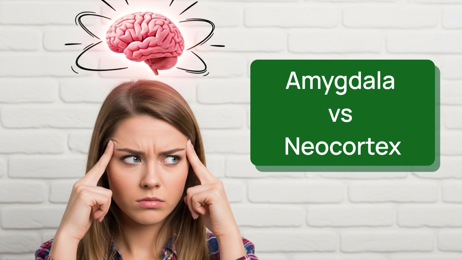 This picture shows a women pointing two parts of human brain.