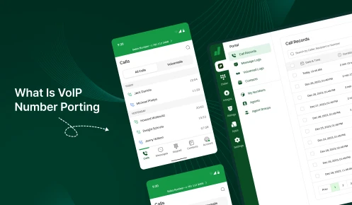 Screenshot of a VoIP application interface showing call logs and call records.