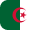 flag icon
