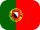 flag icon